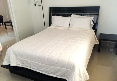 Two separate apartments, one with one bedroom and one with two bedrooms 